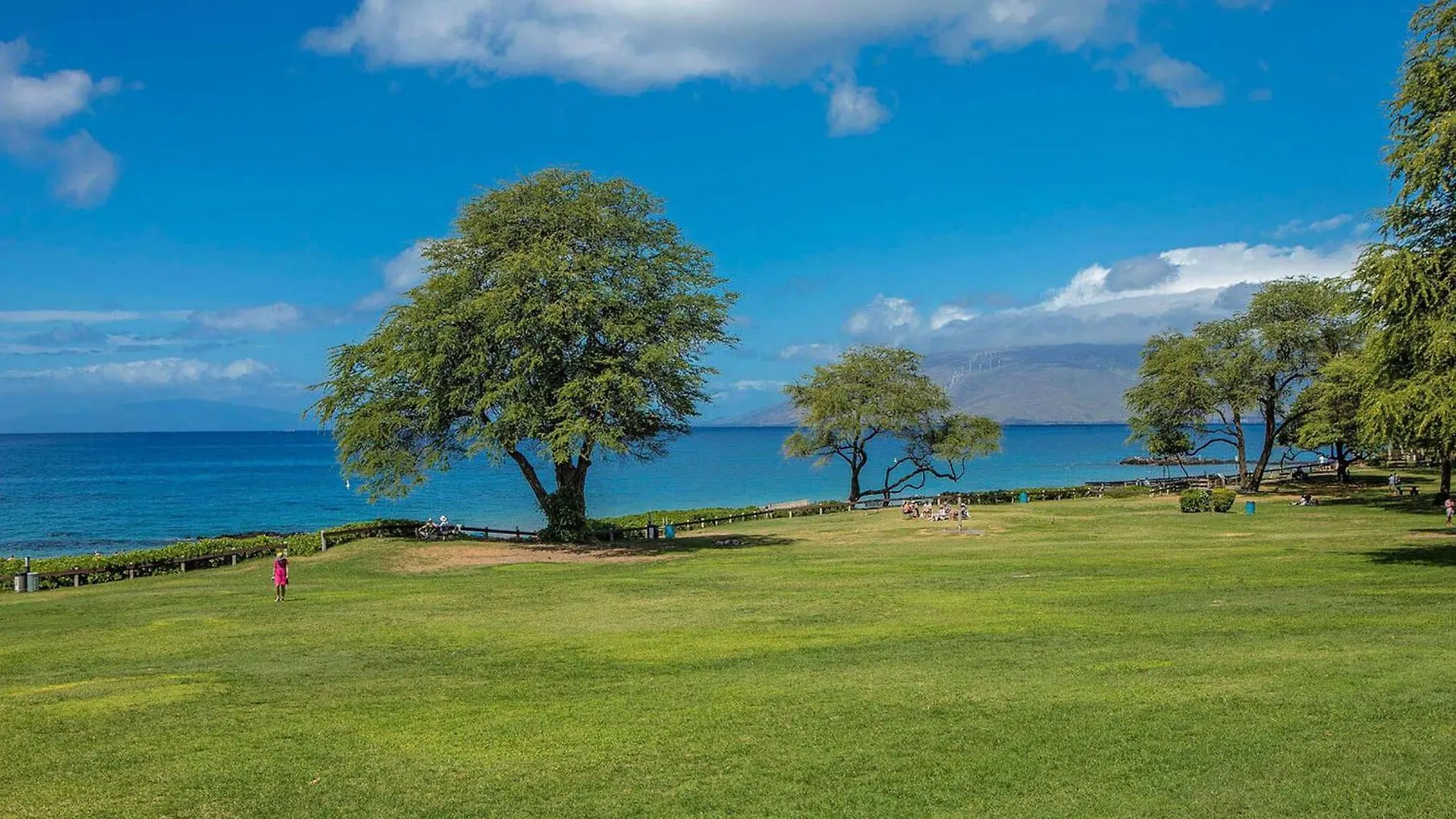 別荘 Kamaole Sands 7-206 - Renovated, Courtyard Views, Steps To The Beach, Ac ワイレア 米国